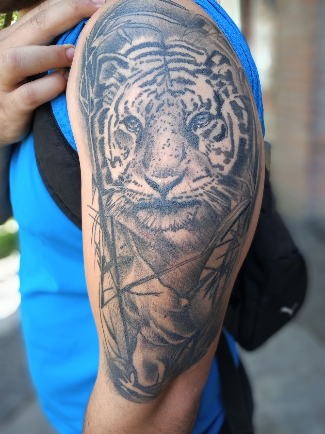 Tatuaje realista de tigre hecho en Jhon tattoo